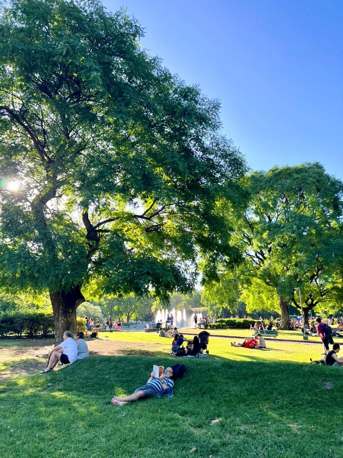 Cozy Modern Ciudad Autónoma de Buenos Aires